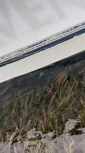 Bay Runner from Batton Rouge? My people know how to make them float shallow!! Ah-eeee! | 30milesOUT fish'n TV