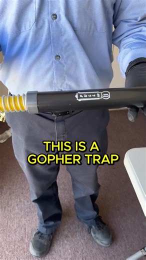 Effective Gopher Control Techniques for Your Property