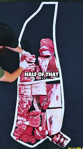 Meat & Vegan Diet's Impact on Environment