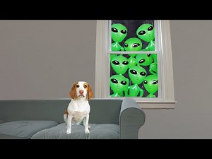 Puppy Not Scared of Alien Invasion Prank: Cute Puppy Dog Indie gets Pranked by Aliens!