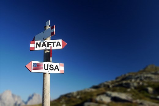 Free Trade Agreement (FTA): Definition, How It Works, and Example