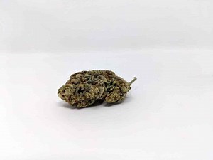 Alien Cream Cake | Marijuana Strain Reviews