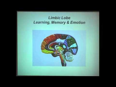 The Neuroscience of Learning and Memory