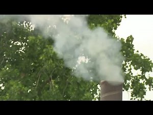 Local 4 News at 5 -- June 14, 2021