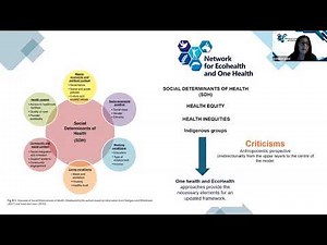 Principles of One Health for a Better Planet Webinar 3