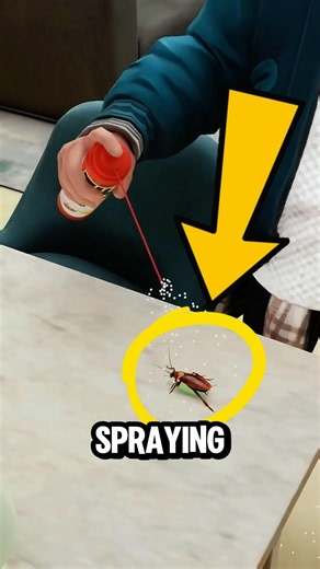 What Makes Cockroaches So HARD to Kill 🪳