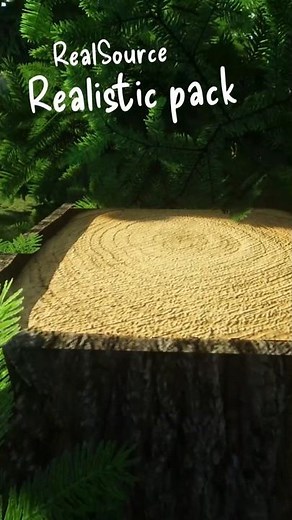 POM make Minecraft JAVA ultra realistic / DOWNLOAD texture pack: www.realsourcepack.com