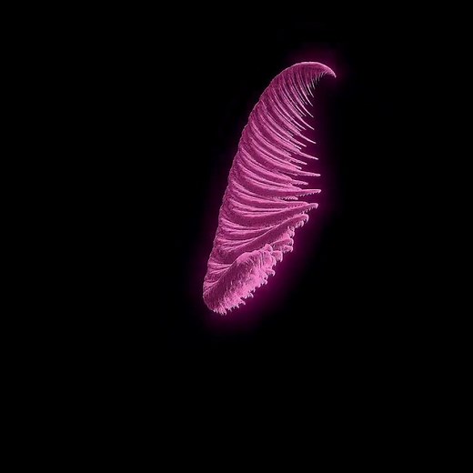 Procedurally Generated Fractals 1