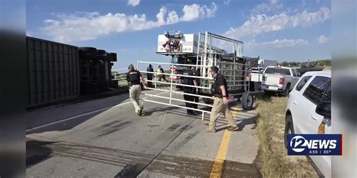 Cattle Truck Tips Over