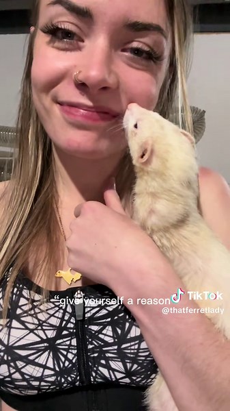 Understanding Ferrets: Care and Cute Facts
