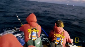 That time between when you catch a tuna and when you get it on the boat can feel like the longest, most tense time of your life. #WickedTuna | National Geographic TV