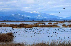 Hunting In California: 5 Beautiful Spots You Should Visit - offMetro CA