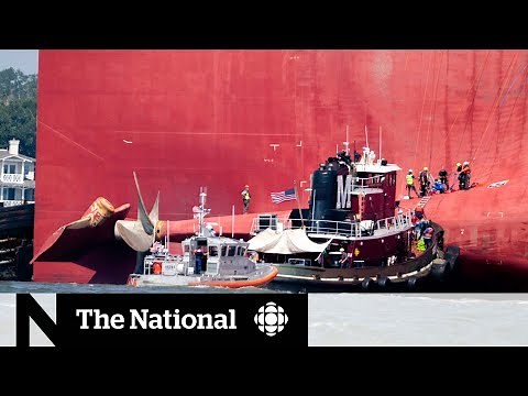 Crew trapped inside capsized cargo ship off Georgia coast are rescued