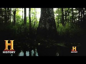 Cryptid: The Swamp Beast -- Comes to Life | History