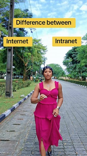 Understanding the Difference Between Internet and Intranet