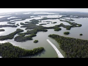 Riding Jet Skis in one of Floridas craziest areas (Jet Ski Tour Marco Island)