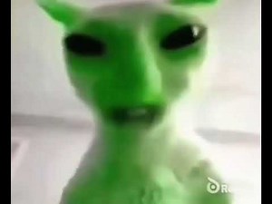 Alien cat talks in alien language