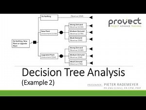 Example 2: Decision Tree Analysis