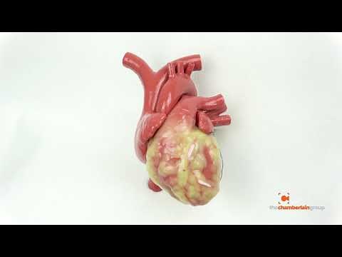 Beating Heart 120BPM