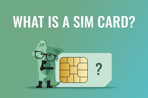 What is a SIM card - What does a SIM card do | Mint Mobile