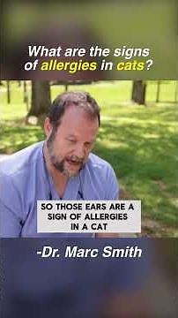 Does My #cat Have Allergies? By Marc Smith, DVM, MS