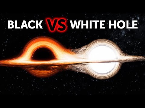 What Happens When a White Hole and a Black Hole Collide?