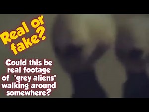 Real Alien Footage? You Decide…