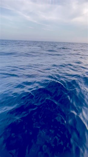 Guatemala - Monkey Business released a Blue Marlin and 5-8 on Sailfish. | Marlin Billfish