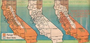 California Rabbit Hunting Maps, Report, Best Areas Public Land
