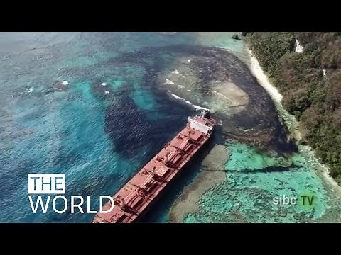 Oil spill disaster near world heritage site 'irreversible' | ABC News