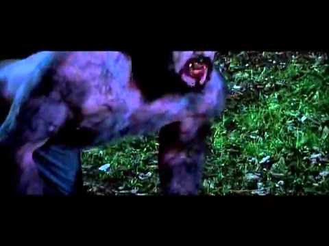 Werewolf transformation (Dense Fear Bloodline)