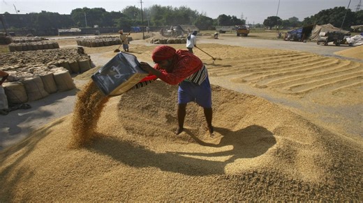 Trump warns India of new tariffs over rice dumping claims. What does the data reveal?