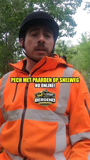 PECH MET TWEE PAARDEN OP SNELWEG!