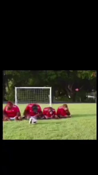 Monkeys Playing Football: Soccer Monkeys in Action