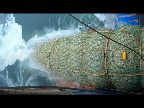 The Most Advance Trawl fishing On The Sea - Processing hundreds of tons of fish on modern Vessel