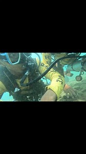 Using 100% oxygen for diving does allow more nitrogen offgassing and therefore a diver (in theory) has less "silent bubbles". A decompression stop is the period a diver must spend at a relatively shallow constant depth during ascent after a dive to safely eliminate absorbed inert gases from the body tissues sufficiently to avoid decompression sickness. Denz Segovia Abaser #dive #oxygen | Ghaz Wild