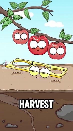 How to Grow Beautiful & Delicious Apples