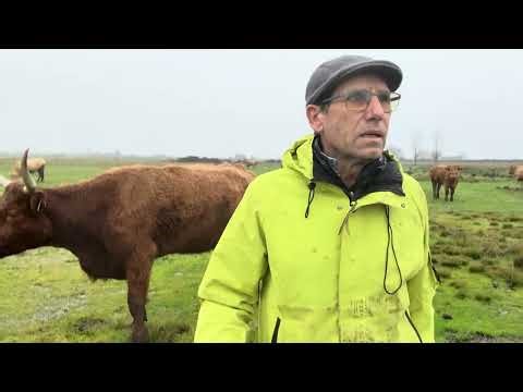 Alerta amarilla hoy negro no lo siguiente nos va a salir el agua por las orejas