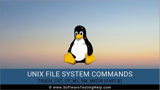 Touch, Cat, Cp, Mv, Rm, Mkdir Unix Commands (Part B)