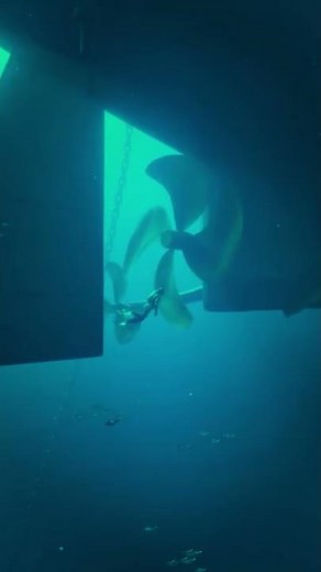 NEAR DEATH EXPERIENCE Ship Propellers