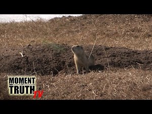 Archery Gopher Hunt *30+ Kills*