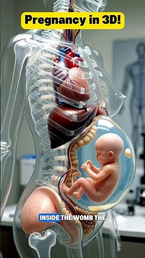 How a Baby Grows Inside the Womb | Pregnancy Stages Explained