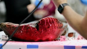 Ten Native American Canoes Found In Lake Span 4,500 Years Of History