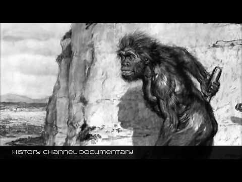 The First Human (Evolution Documentary) | Timeline