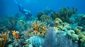 12 Places You Should Visit in the Florida Keys | VISIT FLORIDA