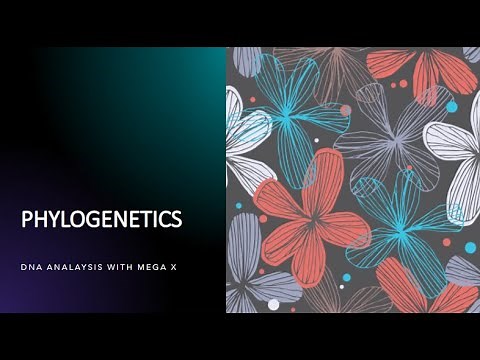 DNA Sequence Alignment with MEGA X: Basic Tutorial