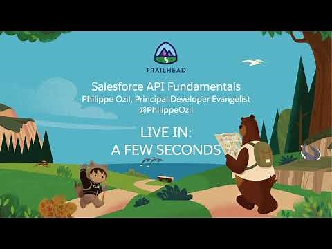 Salesforce API Fundamentals