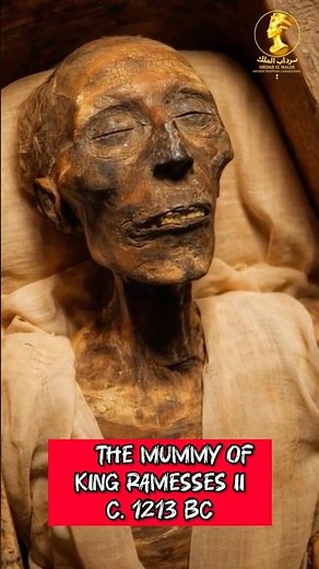 The Mummy of King Ramesses II — Ancient Egypt, c. 1213 BC #egyptianmuseum #pyramidsofegypt #history