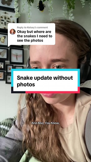 Snake Update: Planning to Find Them Tomorrow!