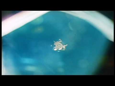 1972 ~ Apollo 17 Command Module over Moon--Lunar Module final view